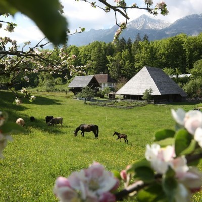 Ballenberg: Swiss Open-Air Museum